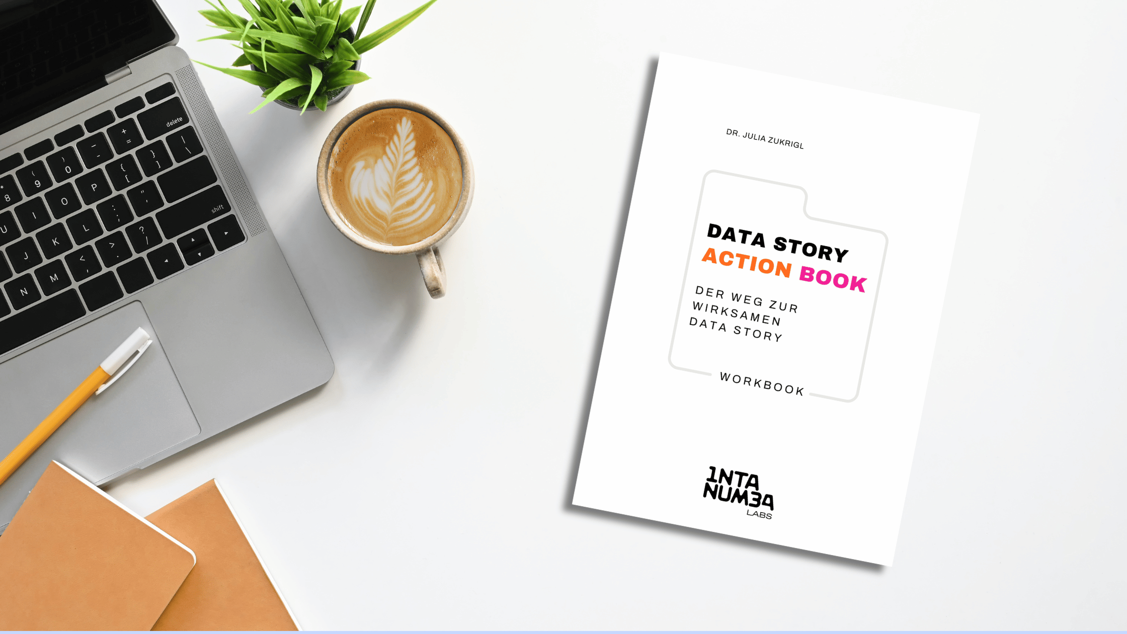 Das DATA STORY ACTION BOOK ist da!